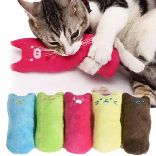Coussin à l'herbe à chat en peluche