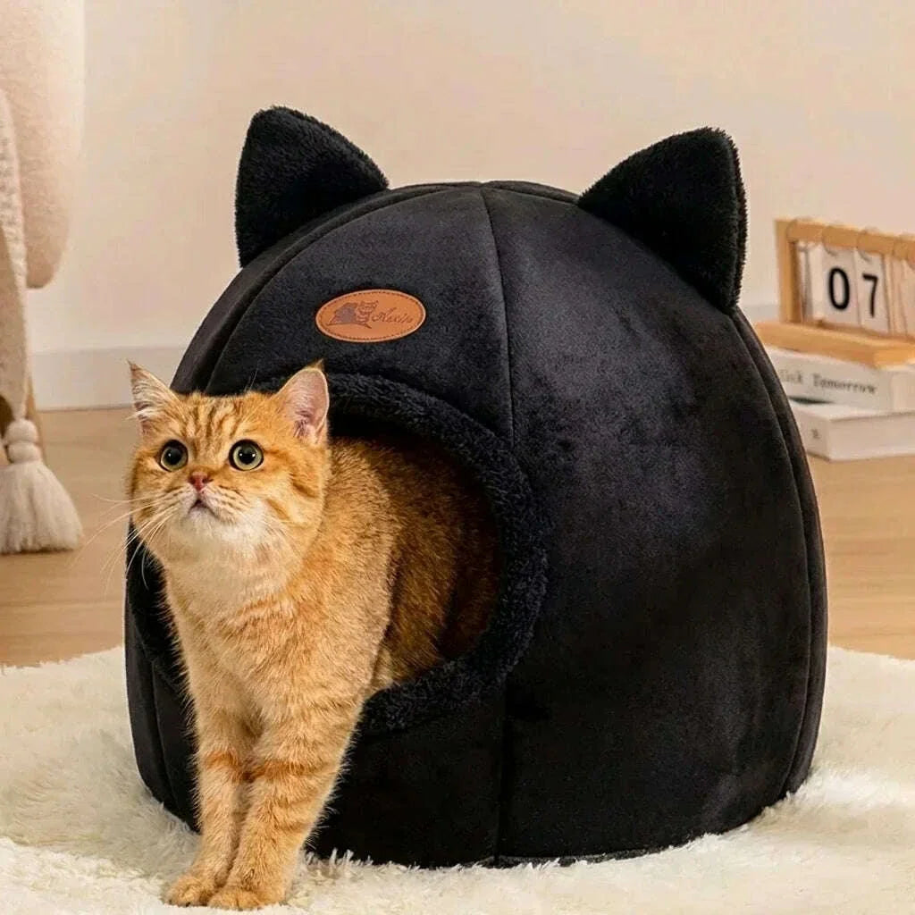 Igloo pour chat, vue arrière