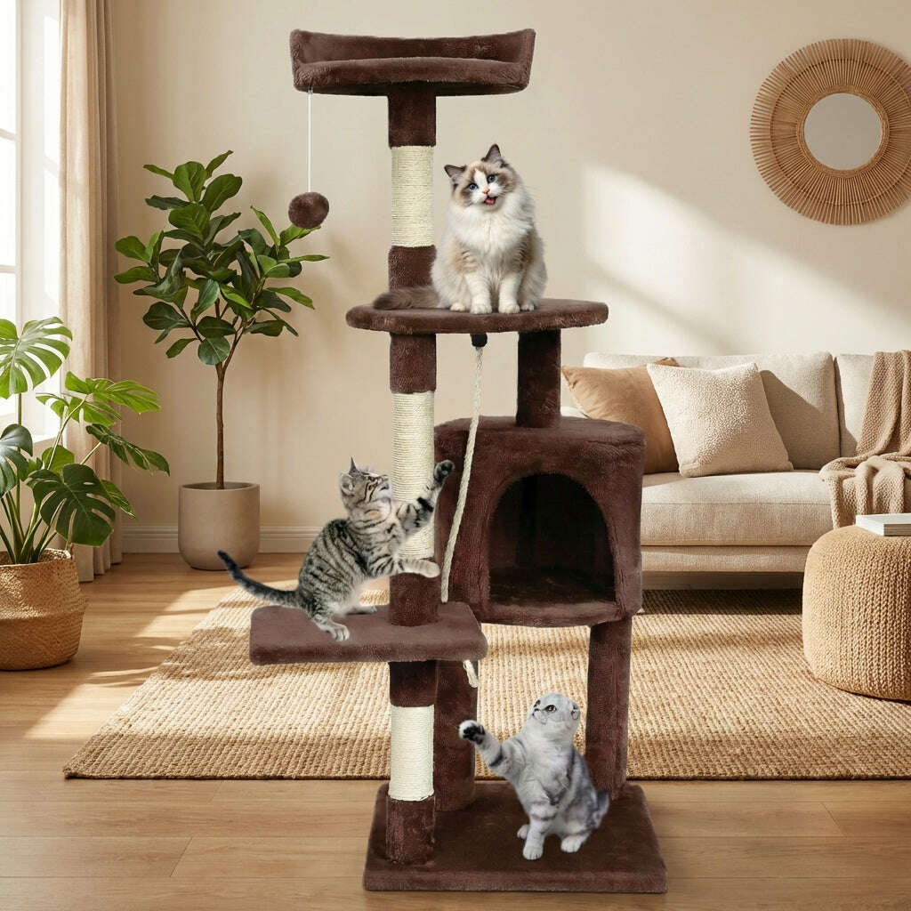 Arbre à chat pour chaton, vue d'ensemble