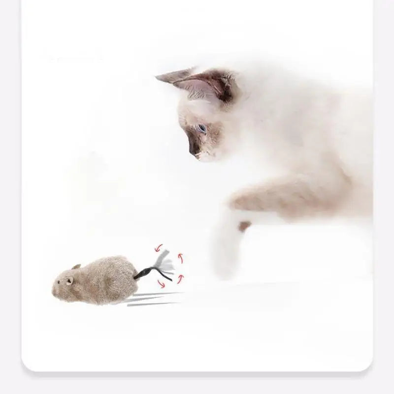Souris à remonter pour chat en peluche