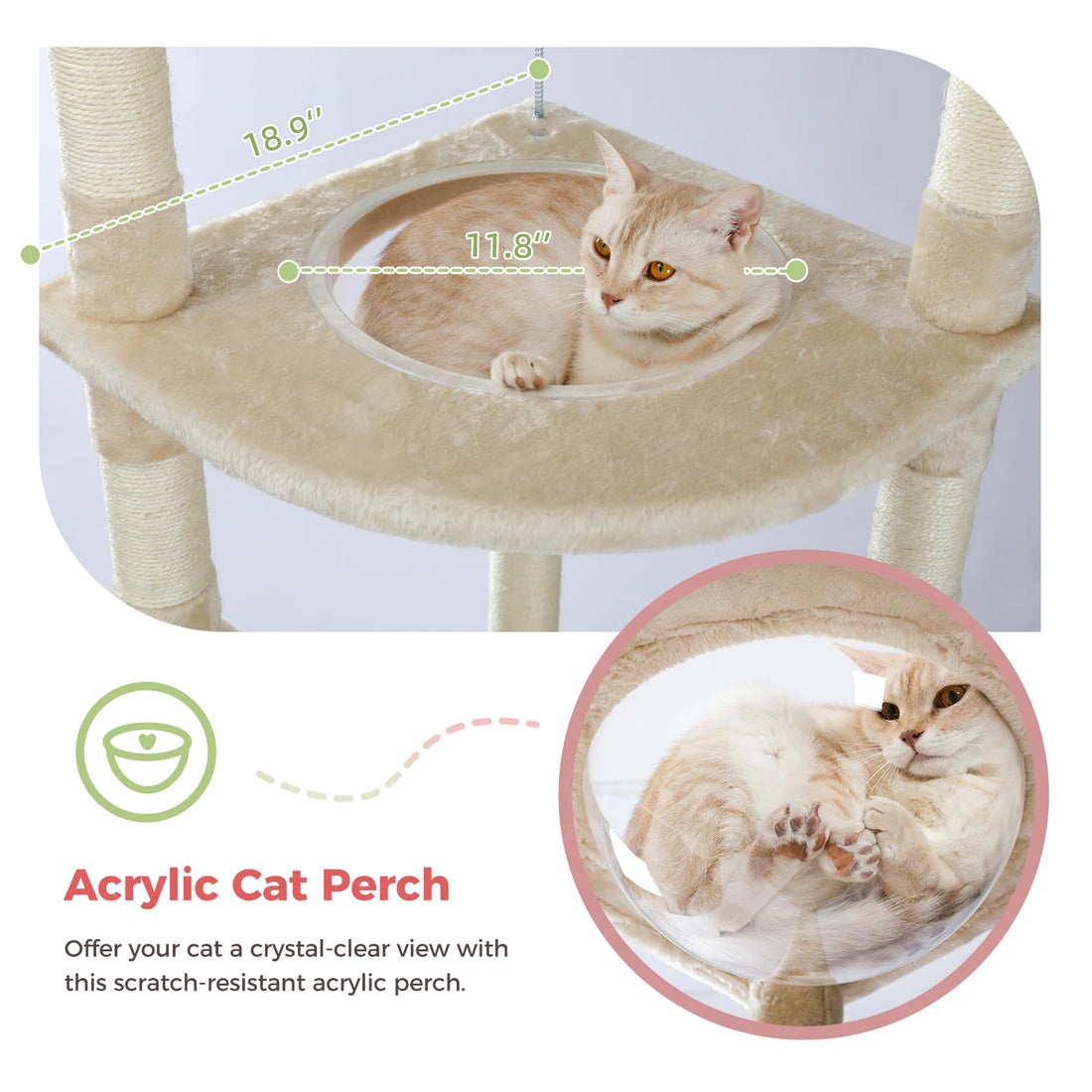 Arbre à chat télescopique multi-niveaux