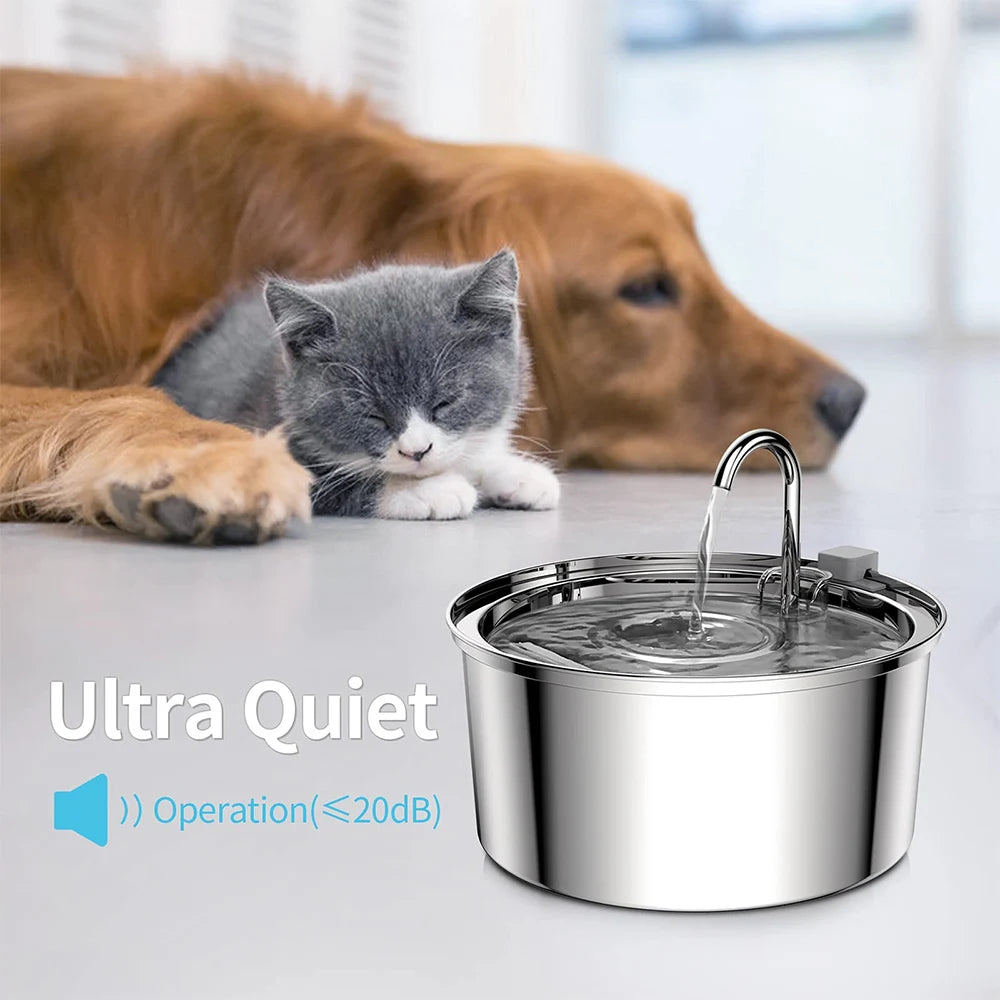 Kitten and golden retriever resting near the ultra-quiet cat water fountain (≤20 dB)