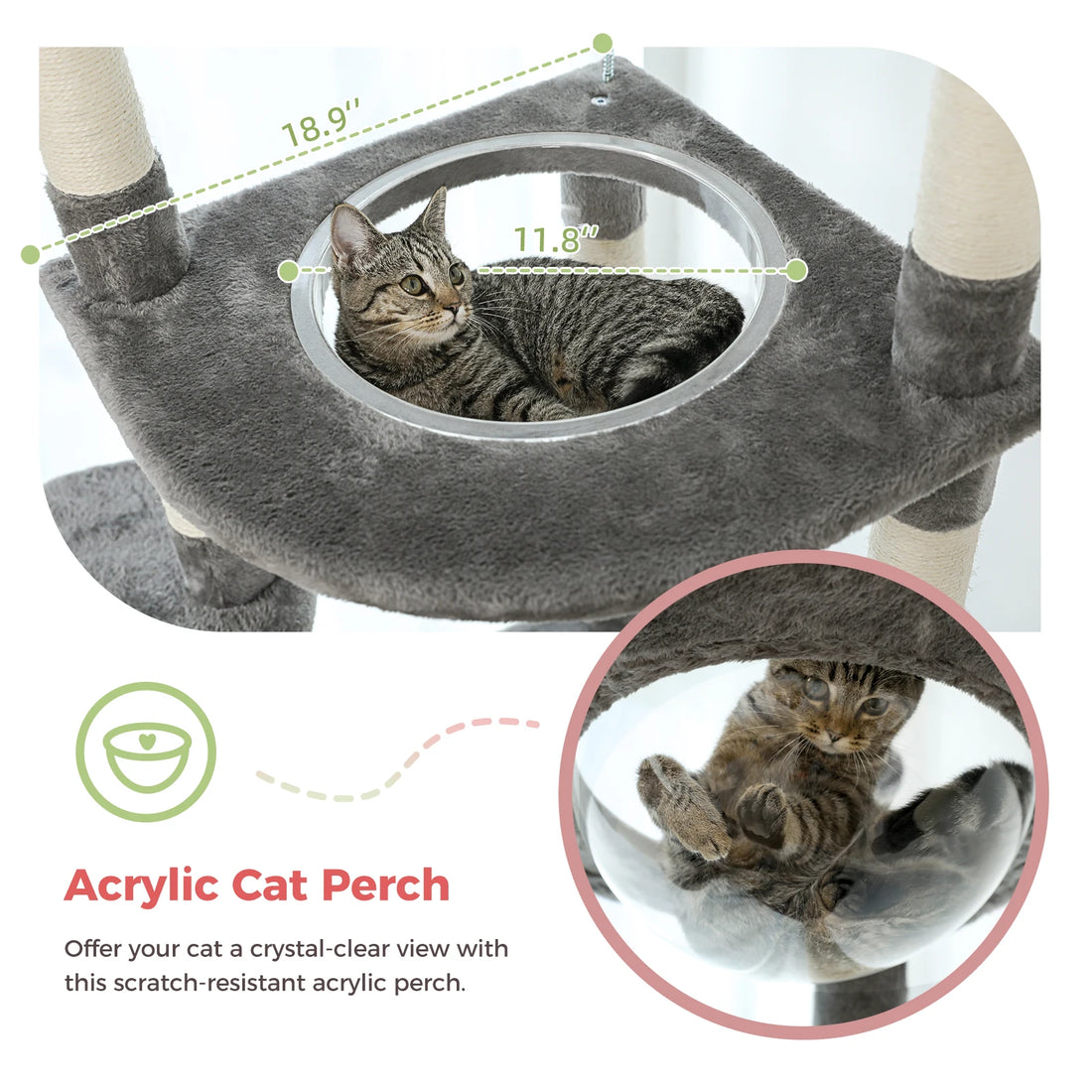 Arbre à chat télescopique multi-niveaux