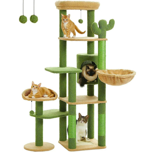 Arbre à chat vert foncé