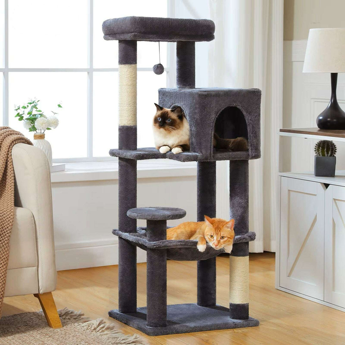 Arbre à chat en bois design, dimensions