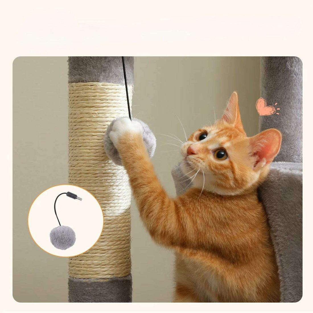 Arbre à chat en bois design, vue arrière