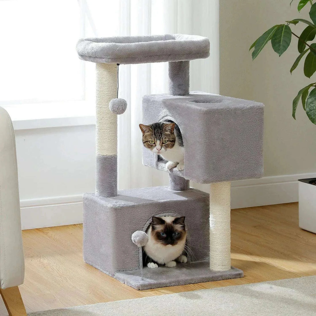 Mini arbre à chat, vue d'ensemble