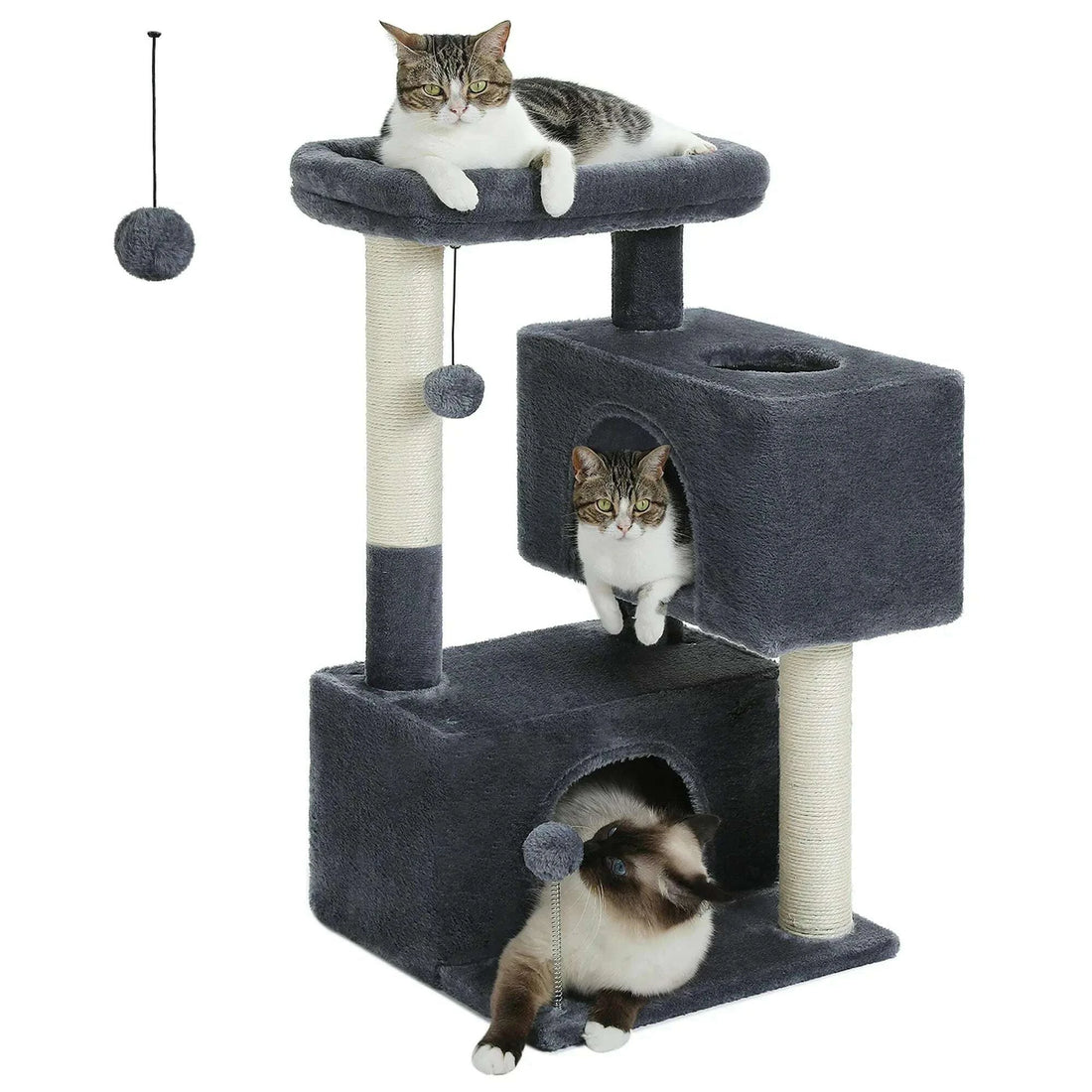 Mini arbre à chat, niche et hamac