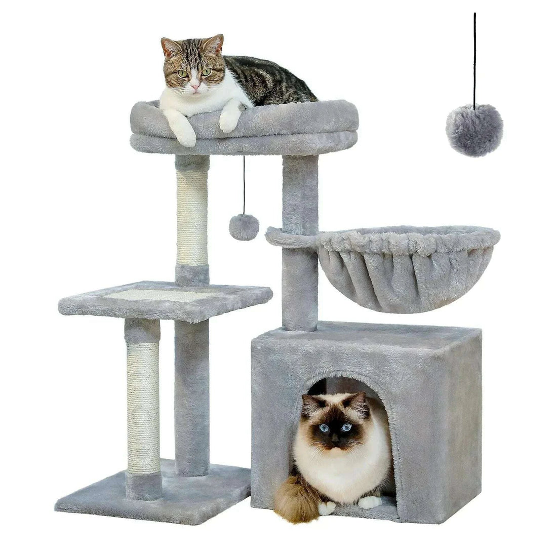 Arbre à chat compact