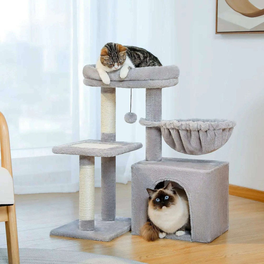 Arbre à chat compact, vue d'ensemble