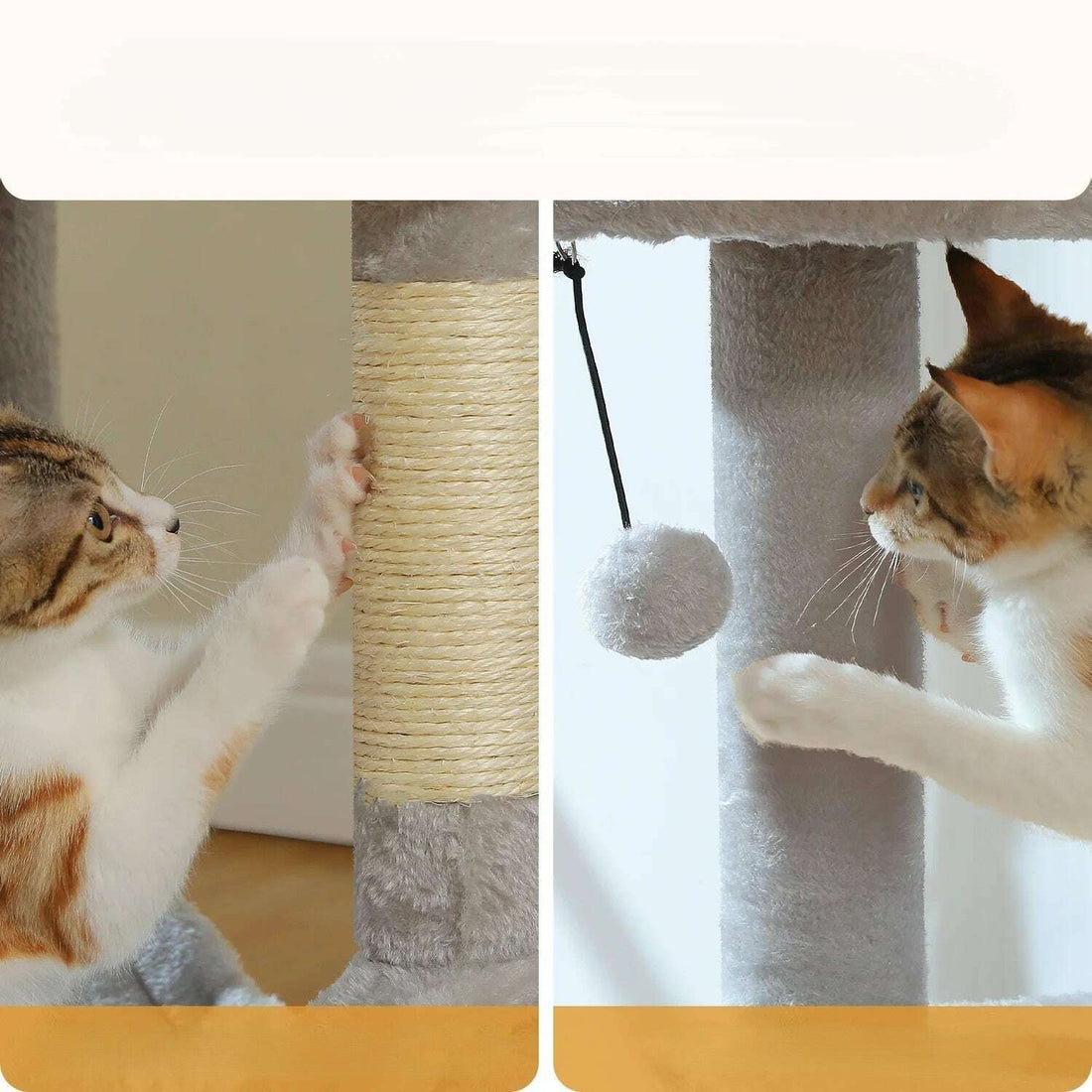 Double gros plan : griffes sur poteau sisal à gauche, patte sur pompom suspendue à droite