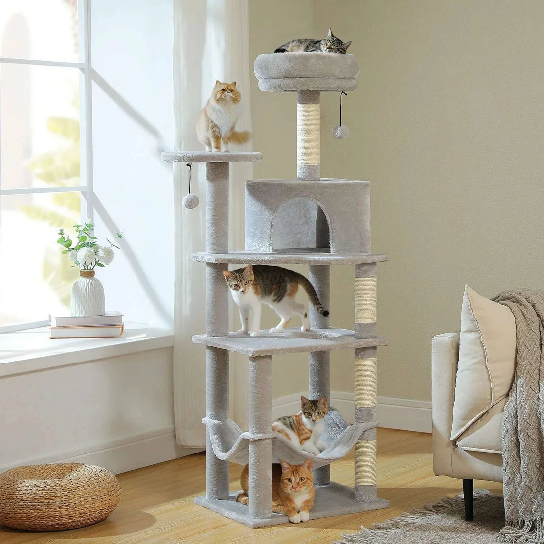 Cinq chats occupent simultanément la version gris clair posée dans un salon lumineux