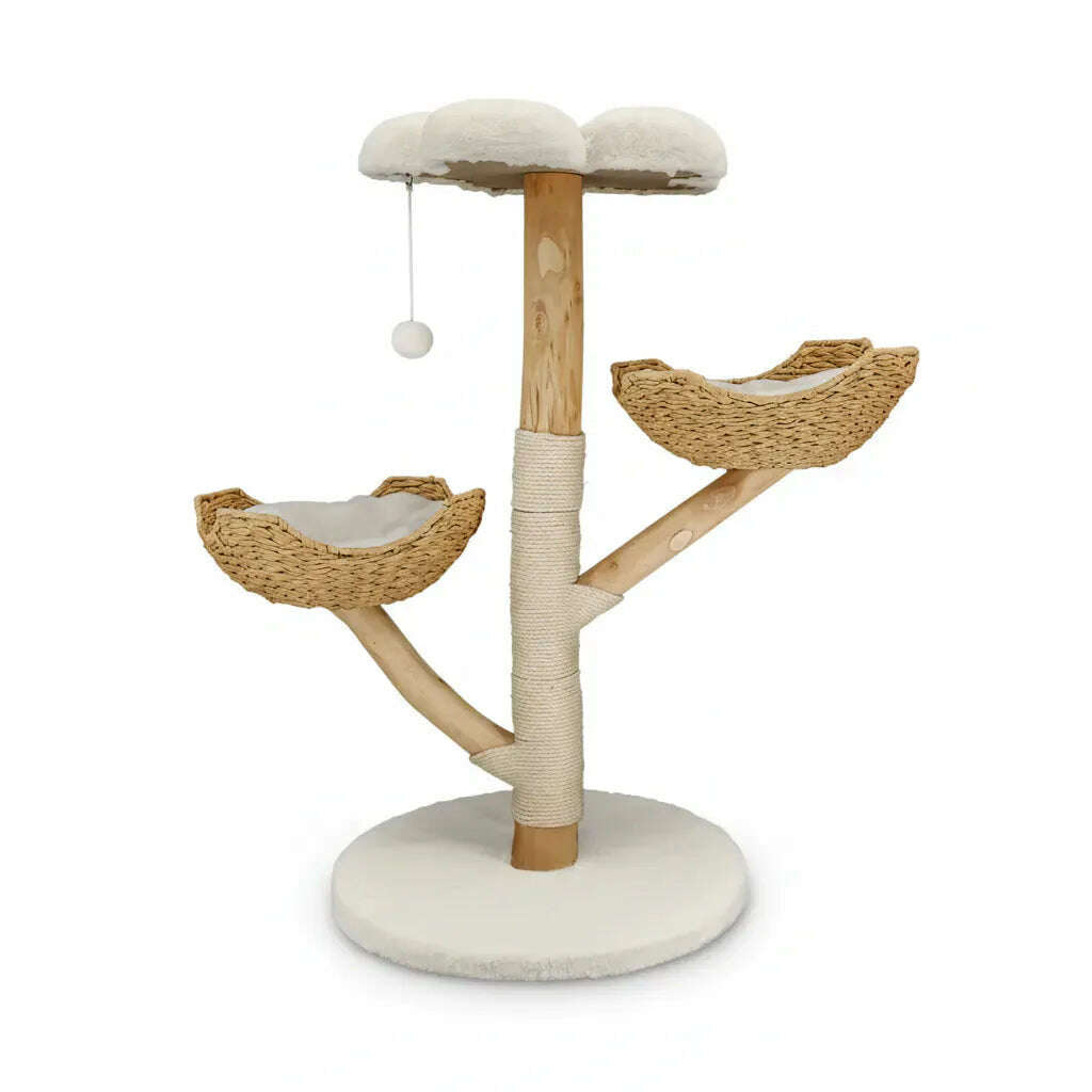 Arbre à chat griffoir en bois massif avec sisal
