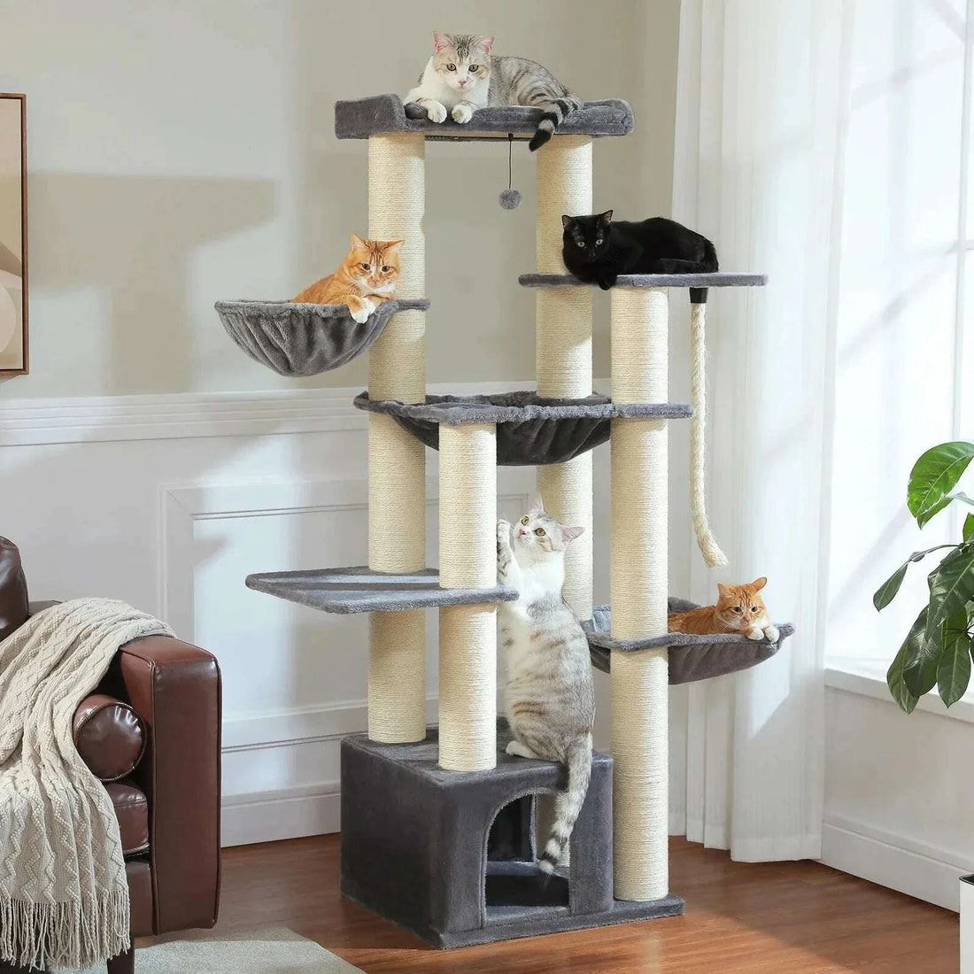 Arbre à chat XXL pour Maine Coon, vue d'ensemble