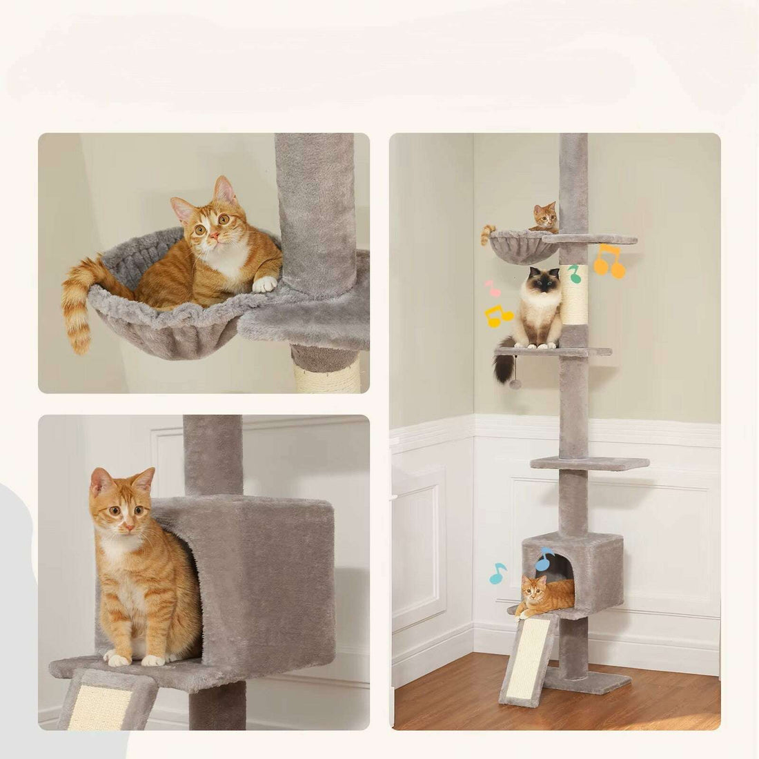 Chat roux blotti dans le hamac, posé devant la niche, et trois chats occupant simultanément tous les niveaux