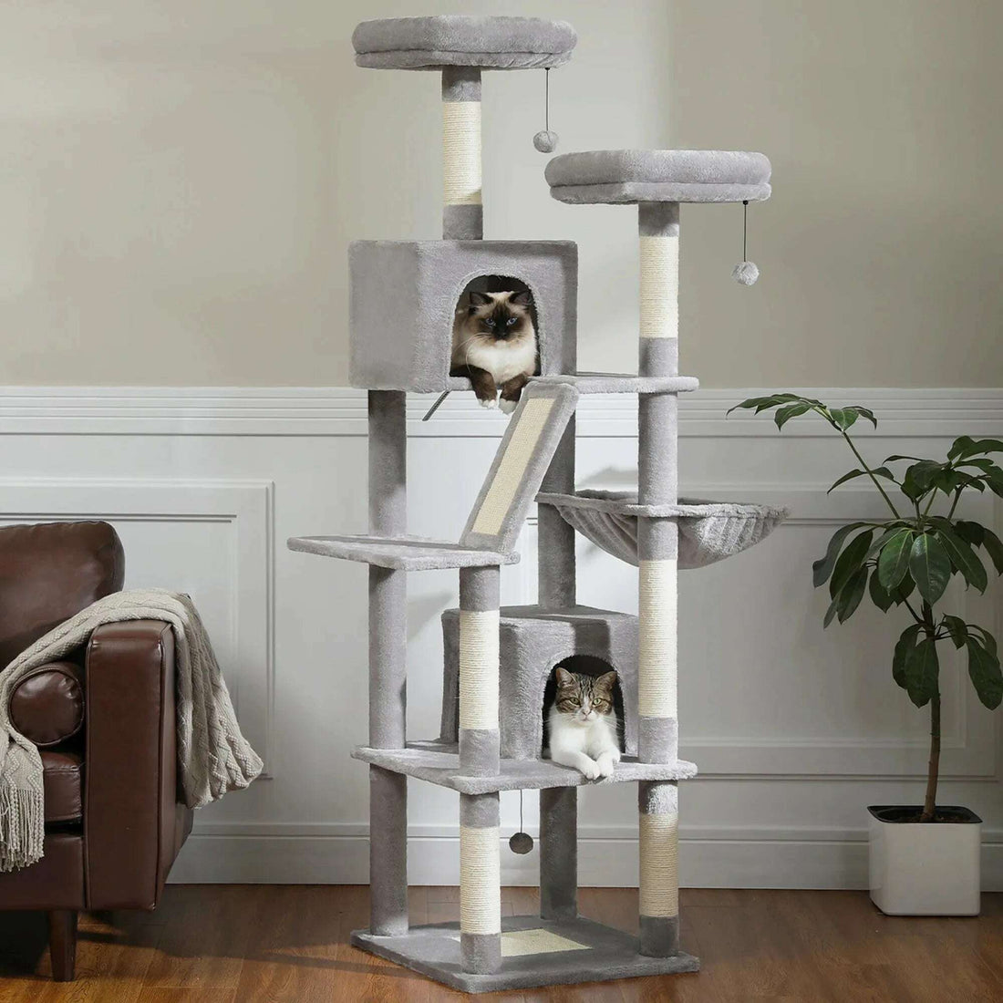 Arbre à chat grande plateforme, vue d'ensemble