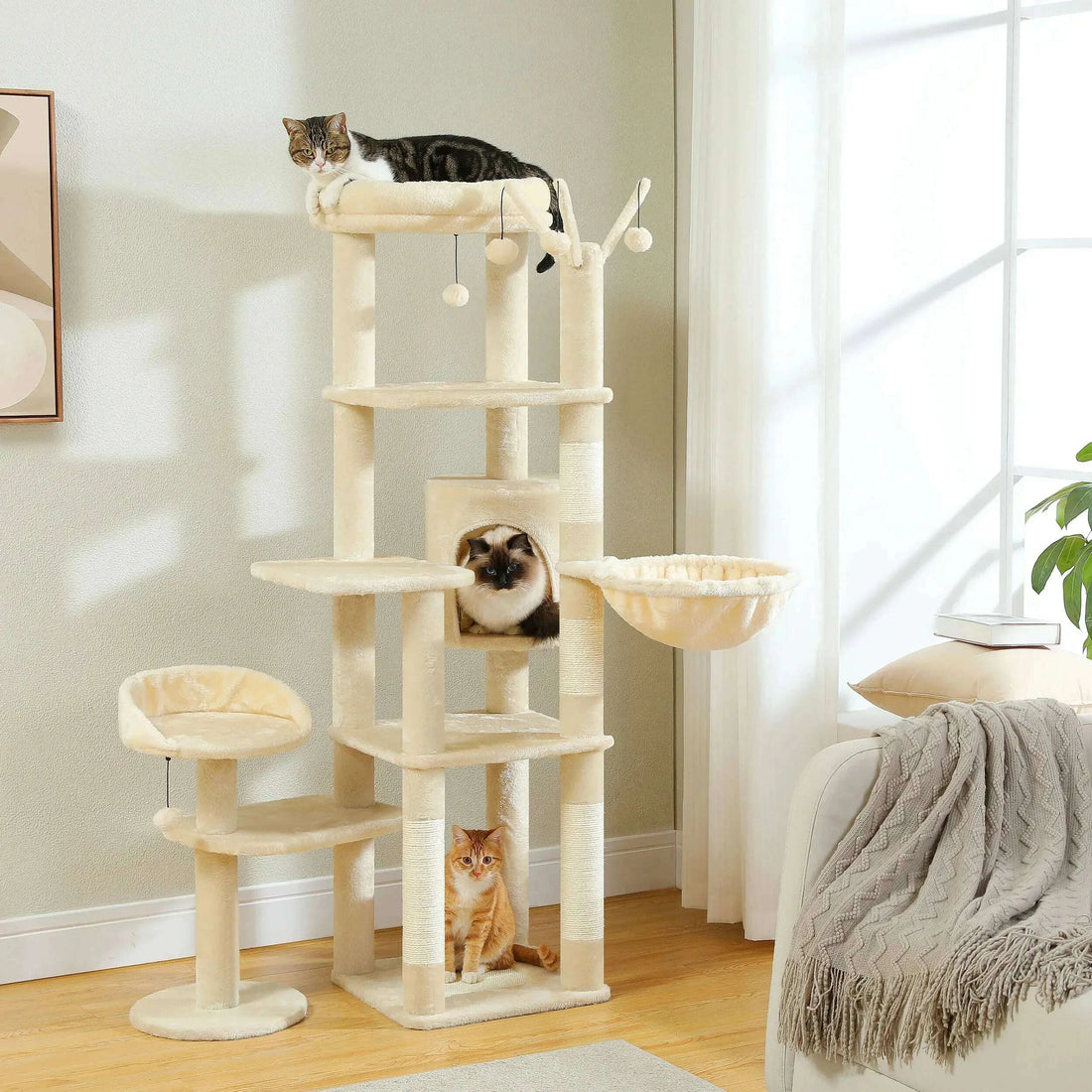 Arbre à chat géant multi-niveaux
