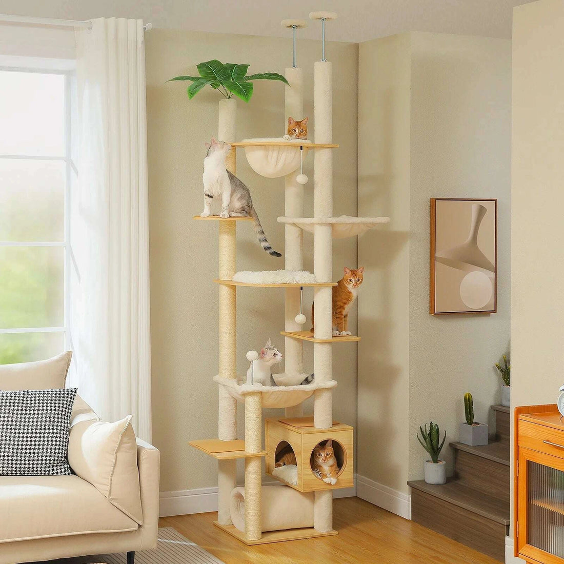 Arbre à chat en bois XXL, vue d'ensemble