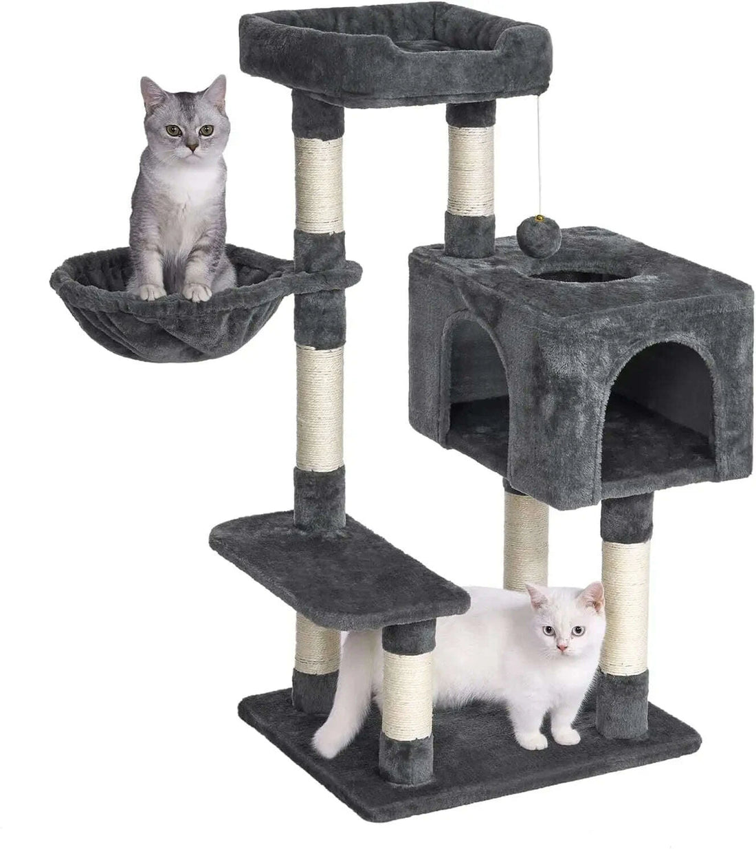 Coloris gris anthracite : chat tigré dans le hamac, chat blanc debout sur la base, fond blanc
