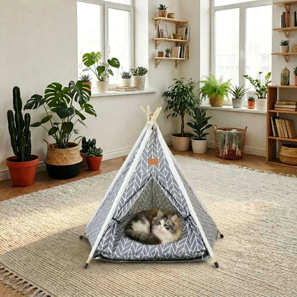Tente pour chat, vue d'ensemble