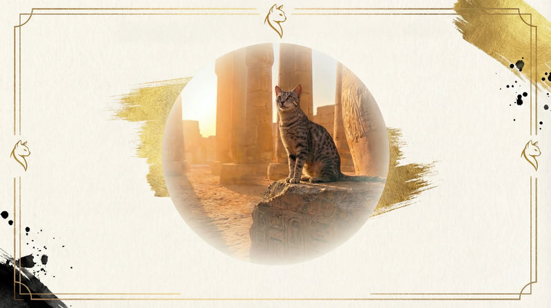 Le Chat Égyptien : Divinité à Pattes et Héritage Millénaire