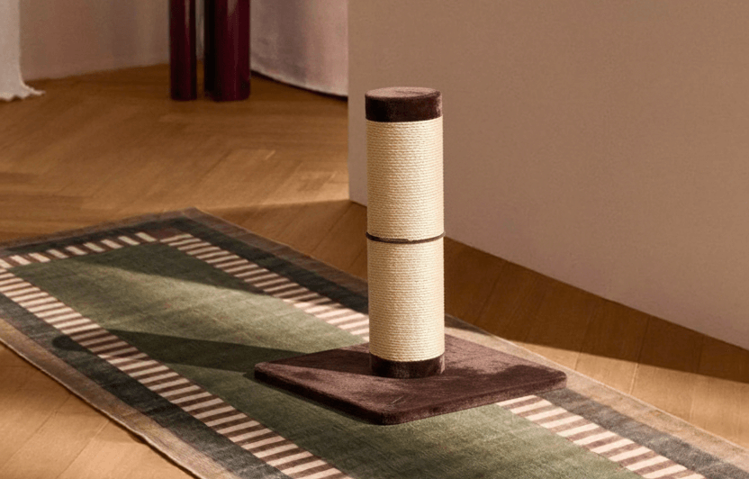 Fabriquer un griffoir pour chat : tutoriel DIY complet