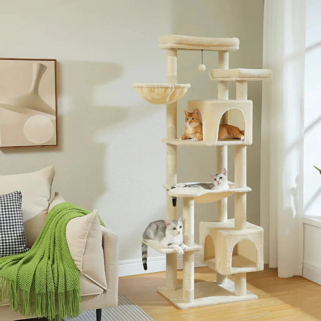 Arbre à chat