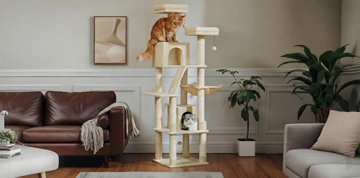 Arbre à chat