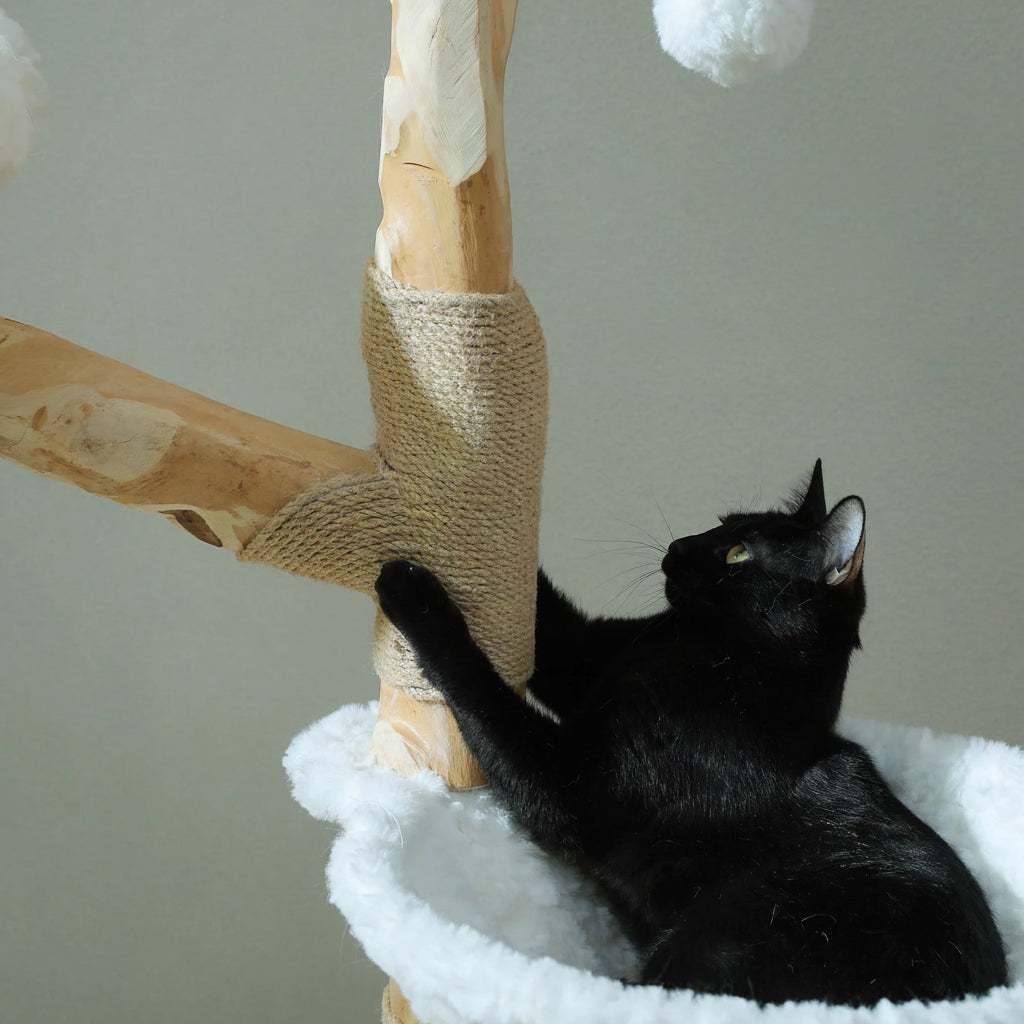 Arbre à chat en bois naturel, en situation