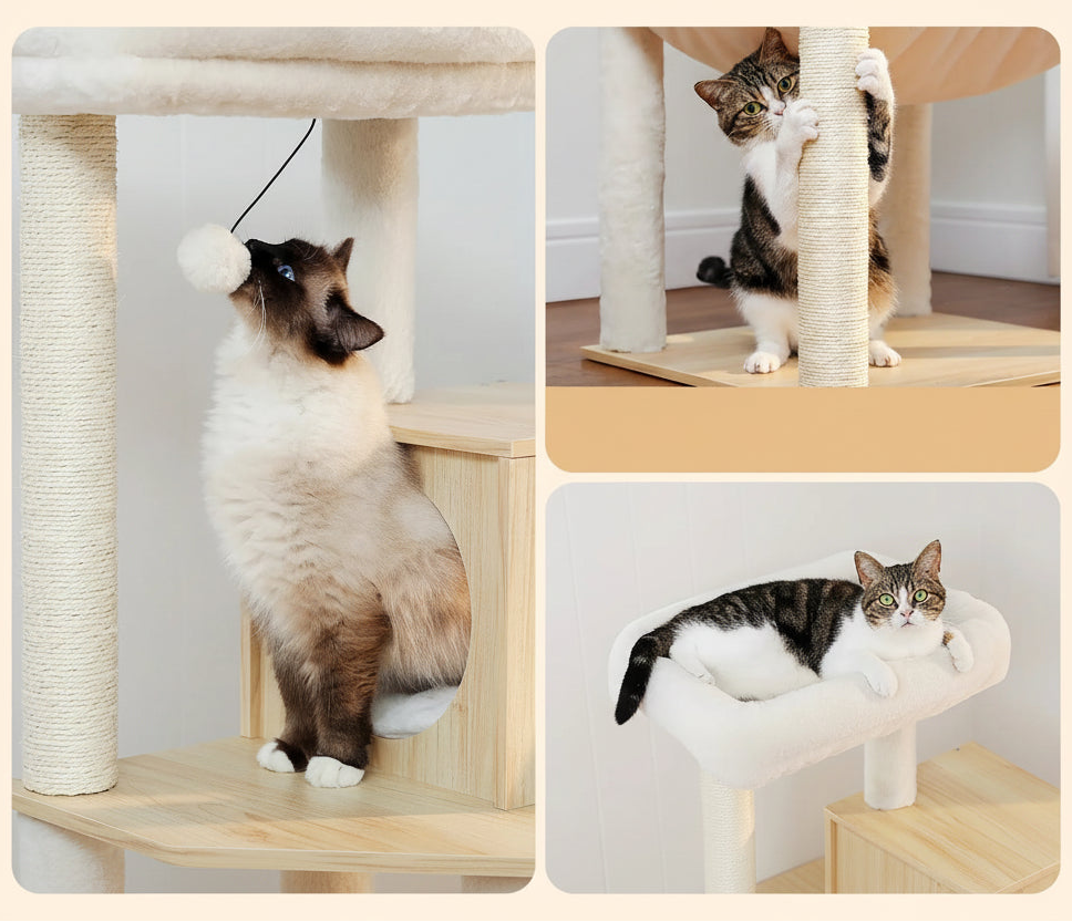 Arbre à chat colonne, plateformes et griffoir sisal