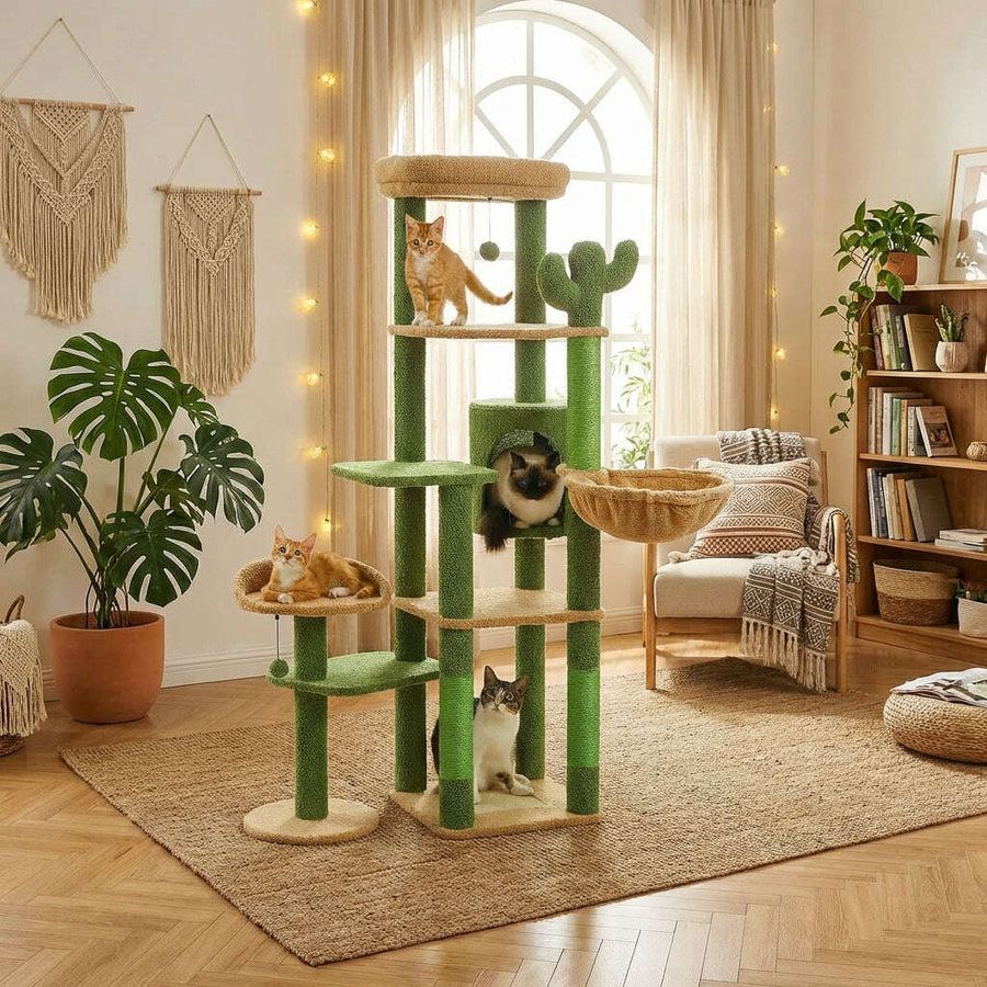 Design & style