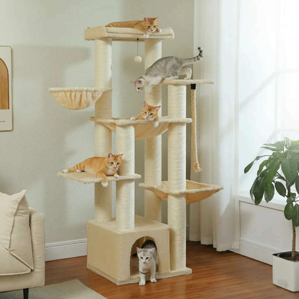 Arbre à chat solide pour Maine Coon — vue d'ensemble