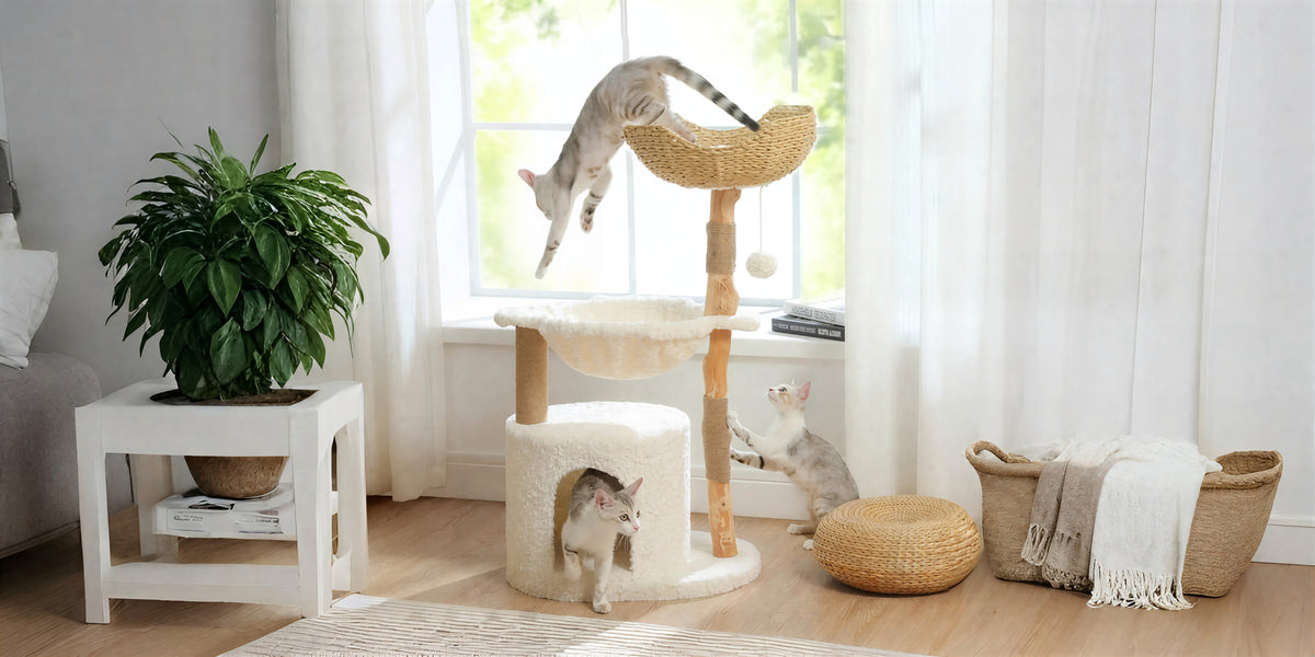 Arbre à chat en bois