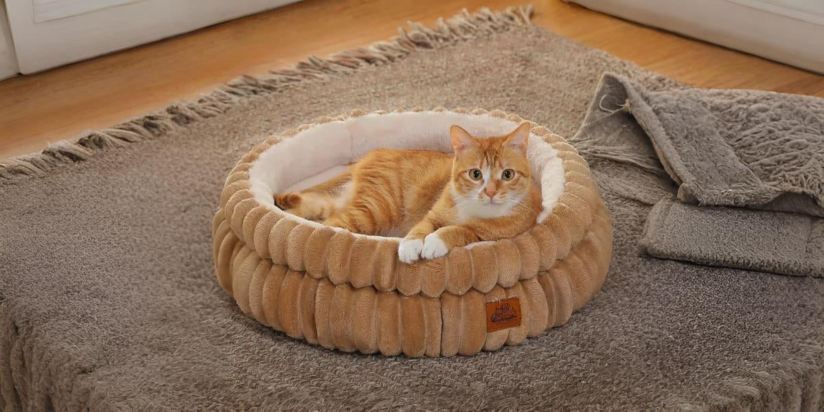 Panier pour chat