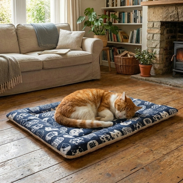 Tapis pour chat