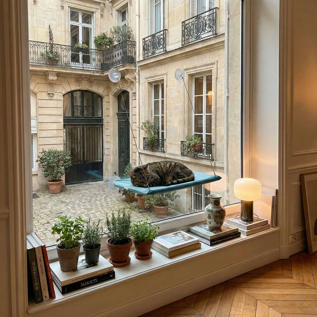 Hamac de vitre pour chat