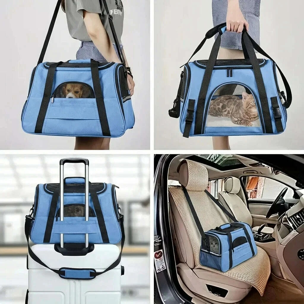 Grand panier de transport pour chat, à la main, fixé sur valise à roulettes, posé en voiture