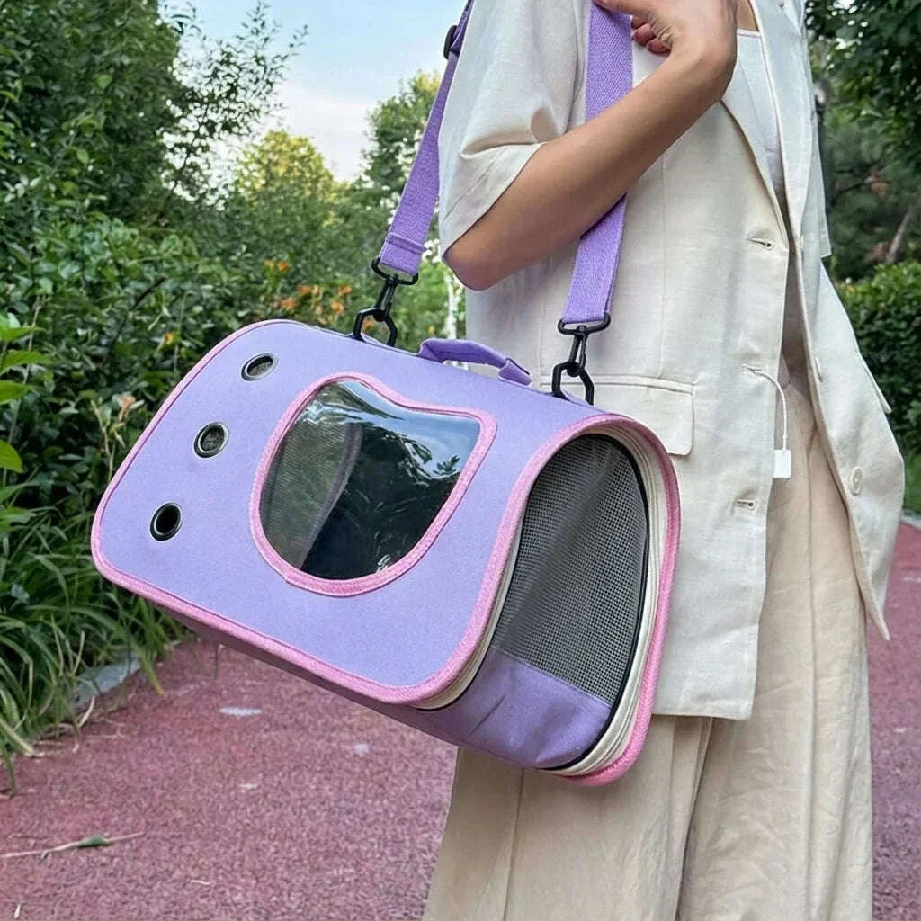 Panier de transport pour chat pas cher, vitre de la fenêtre révélant un chat à l'intérieur