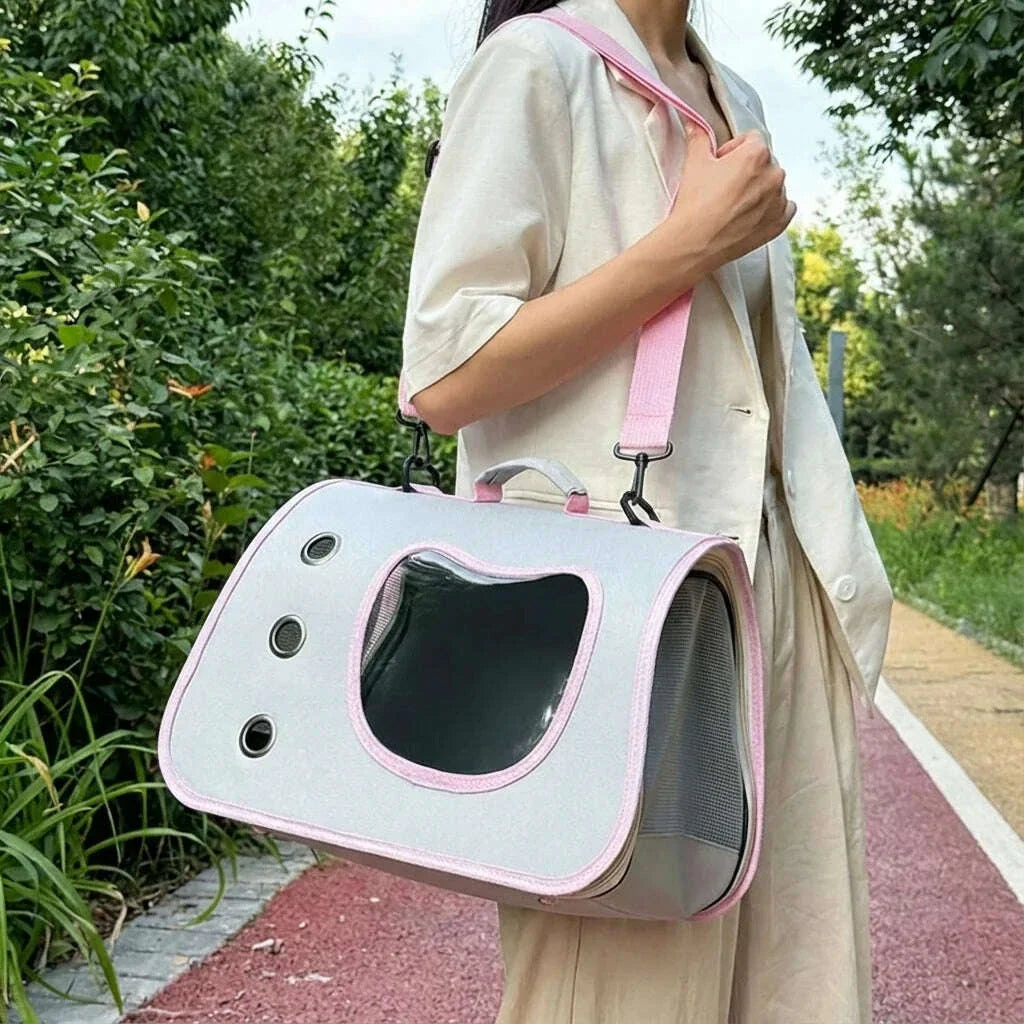 Panier de transport pour chat pas cher