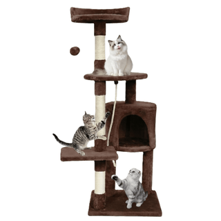 Arbre à chat pour chaton