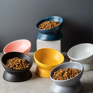 ErgoBowl — Gamelle céramique inclinée 15° anti-régurgitation