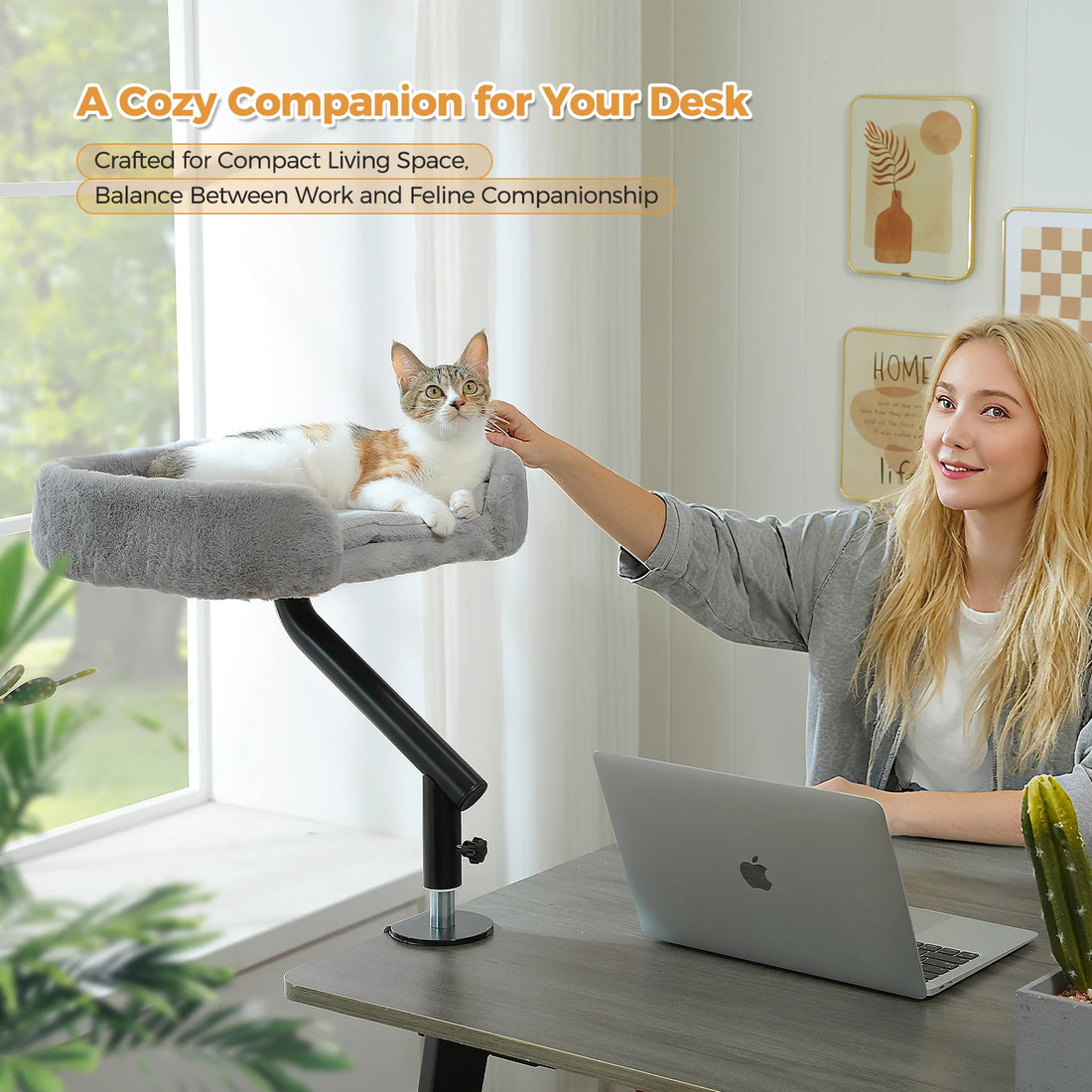 Coussin de bureau pour chat rotatif