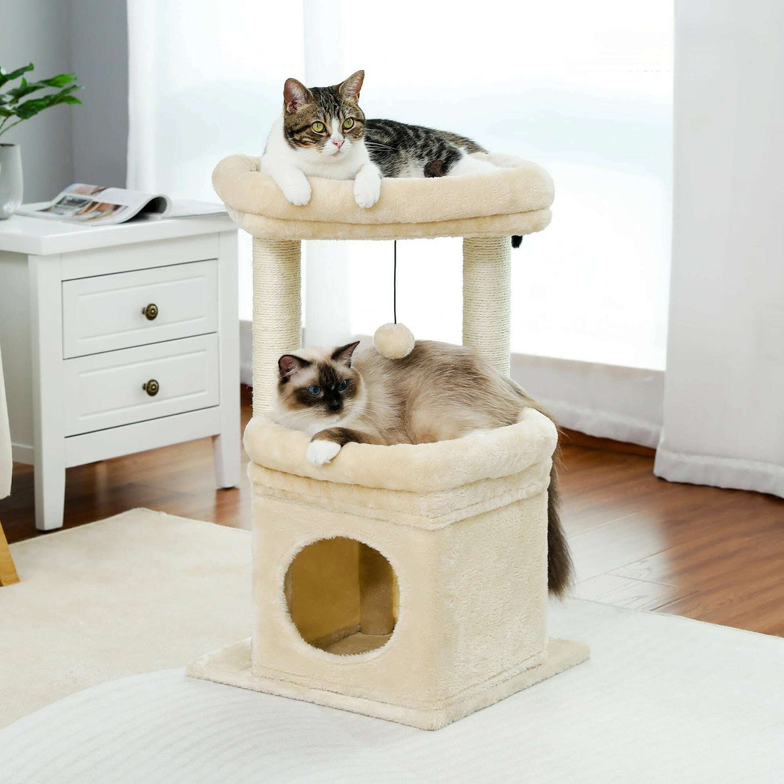 Arbre à chat élégant, vue d'ensemble