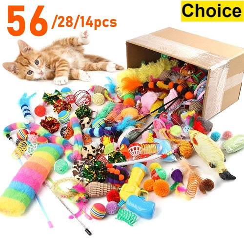Pack de jouets pour chat, 14 à 56 pièces