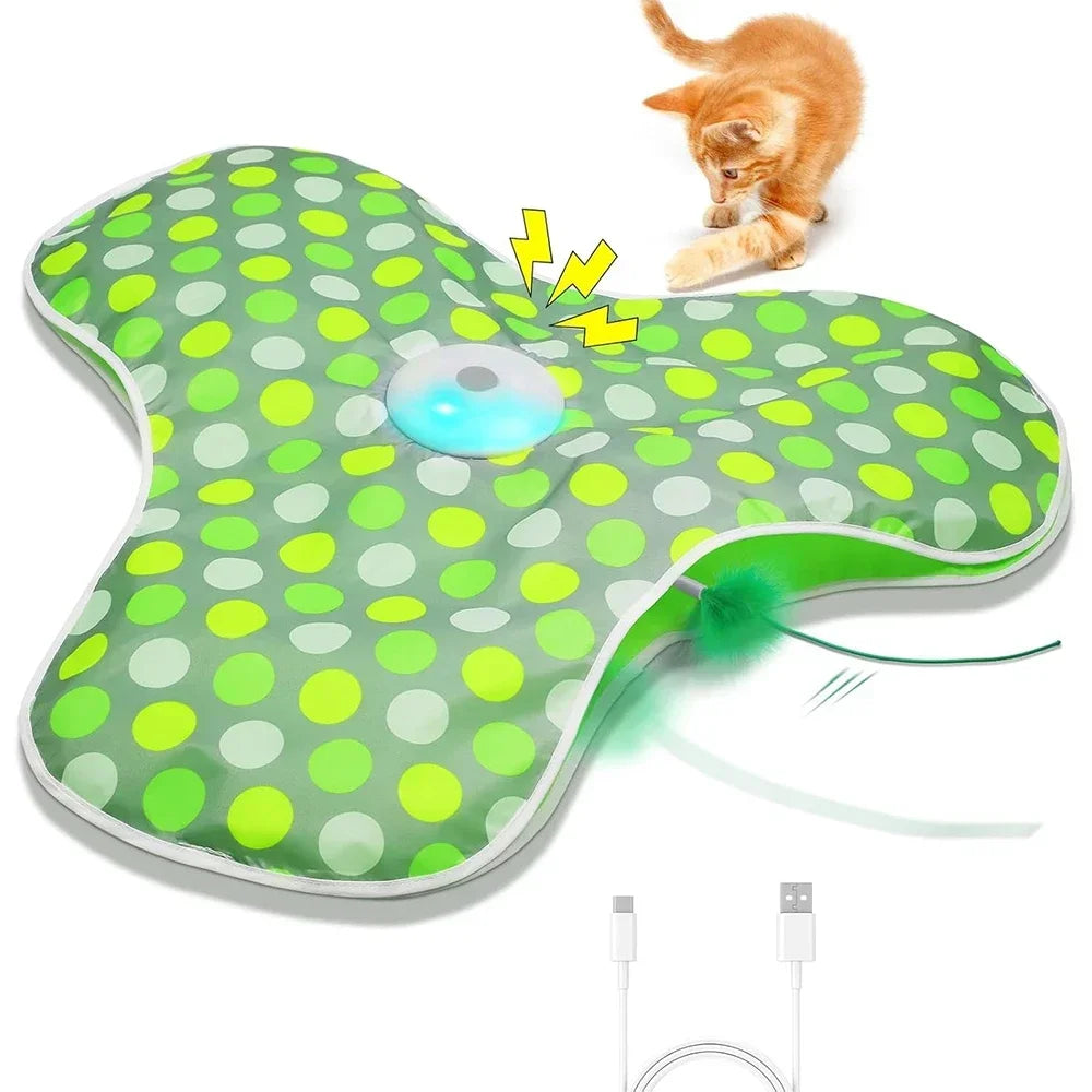 Tapis de jeu électrique cache-cache pour chat