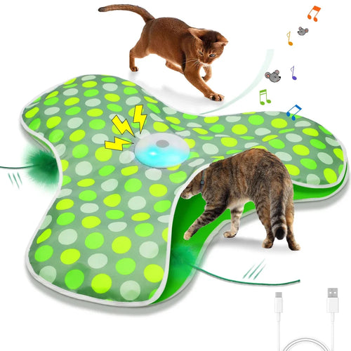 Tapis de jeu électrique cache-cache pour chat