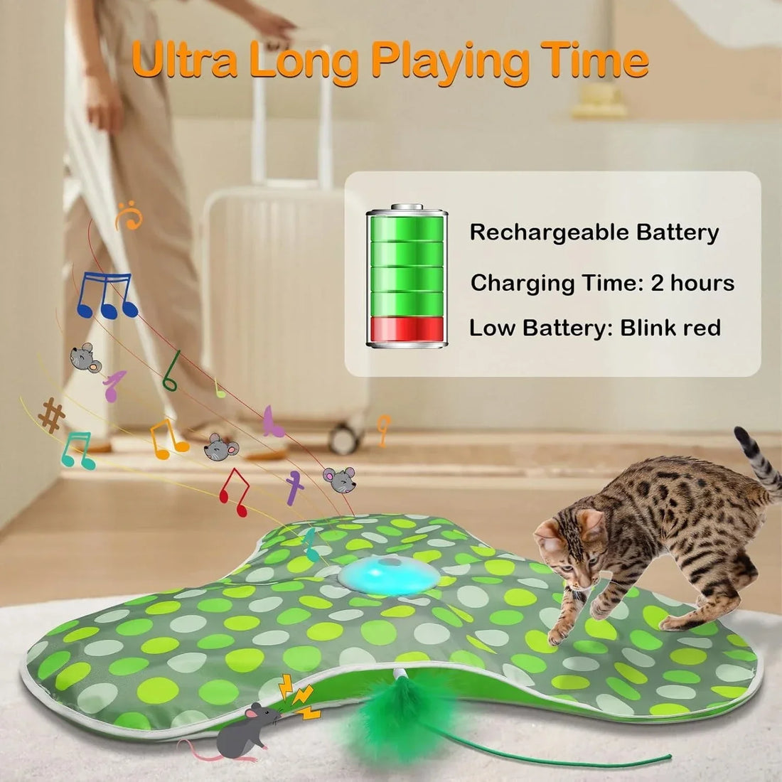 Tapis de jeu électrique cache-cache pour chat