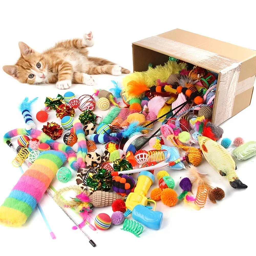 Pack de jouets pour chat, 14 à 56 pièces