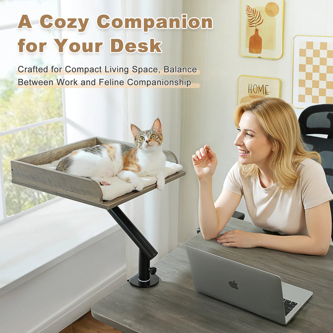 Coussin de bureau pour chat rotatif