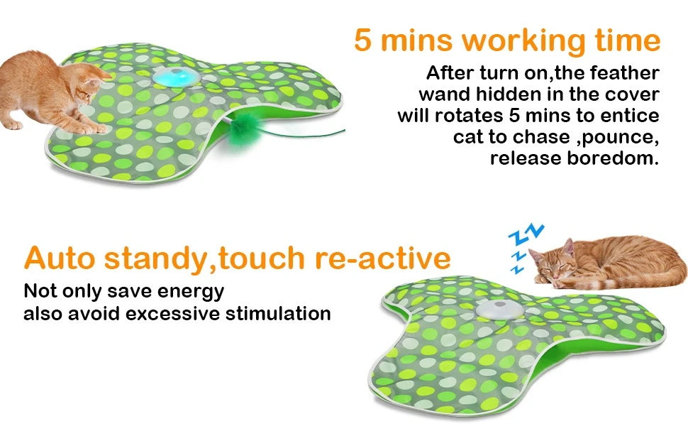 Tapis de jeu électrique cache-cache pour chat